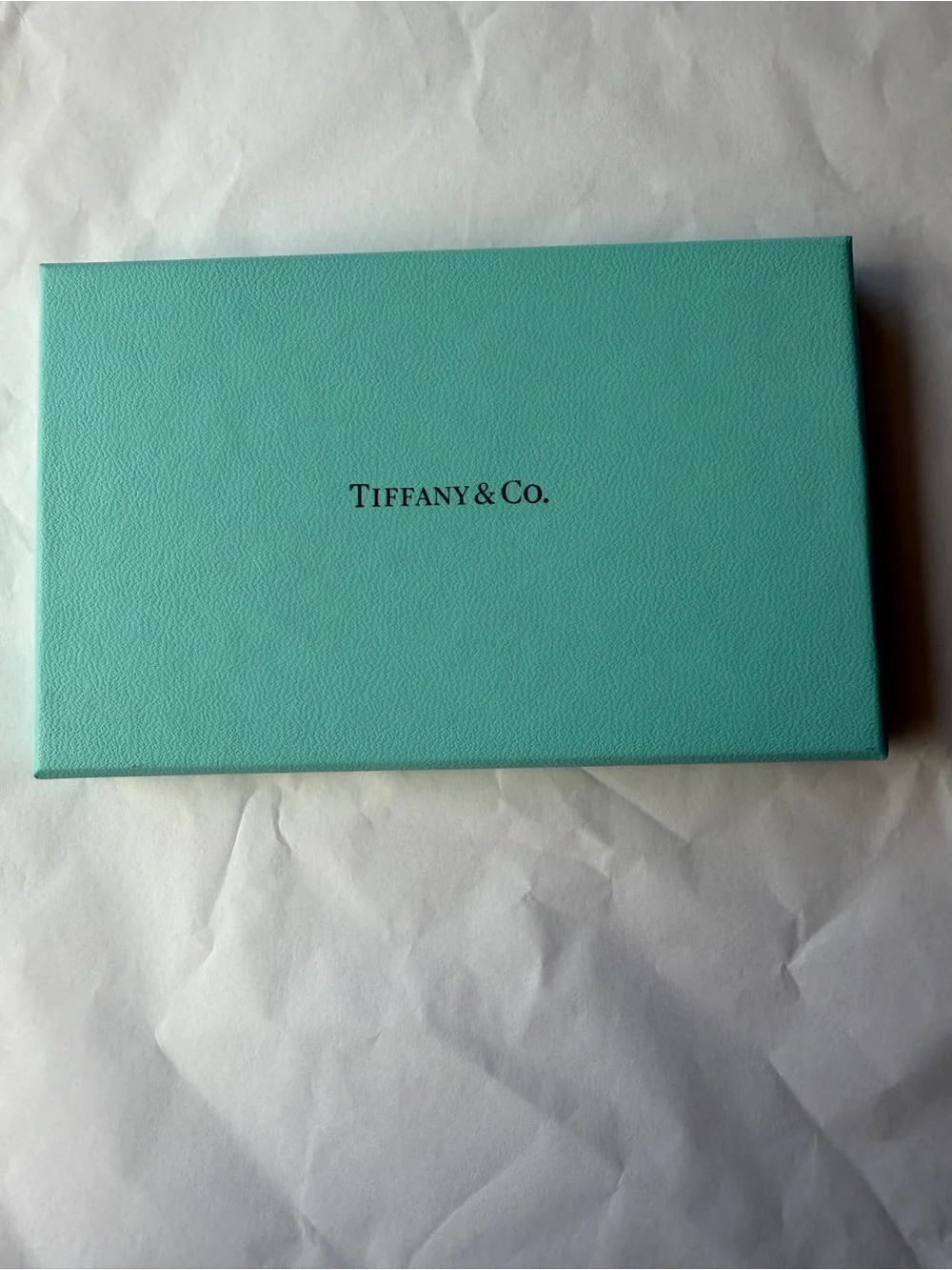 📘 TIFFANY & CO. POCKET DATE BOOK 📘 NWOT 📘